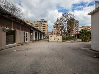 Dall�altra parte della via si apre invece l�enorme capannone che ospitava l�azienda di piastrelle Meneghella, trasferitasi in un�altra zona. Il suo cortile � oggi diventato rifugio per immigrati, rom e senzatetto